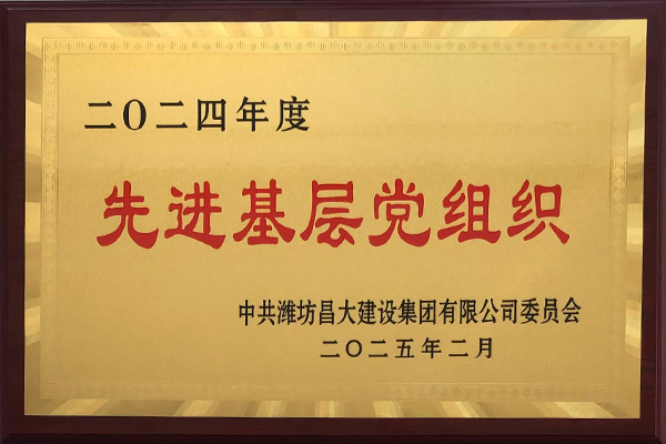 2024年度先進(jìn)基層黨組織
